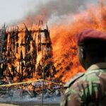 Africa Transnational Crime Hub — Security Fallout