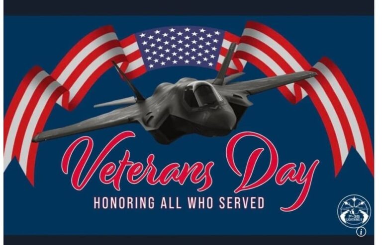 Pentagon Blunder: Chinese Jet on Veterans Day Poster